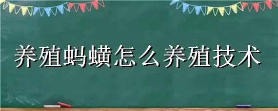 养殖蚂蟥怎么养殖技术