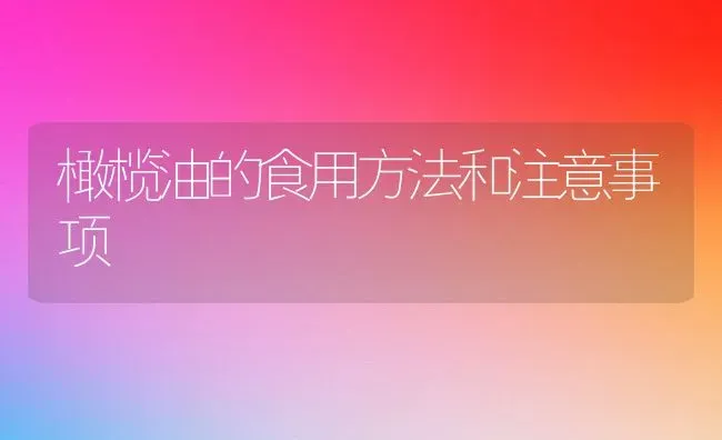 橄榄油的食用方法和注意事项 | 养殖资料投稿