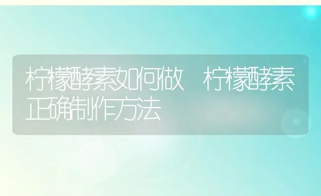 柠檬酵素如何做 柠檬酵素正确制作方法 | 养殖资料投稿