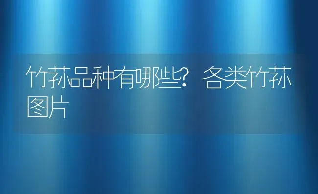 竹荪品种有哪些?各类竹荪图片 | 养殖资讯