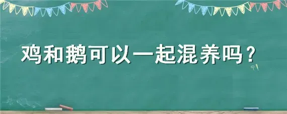 鸡和鹅可以一起混养吗