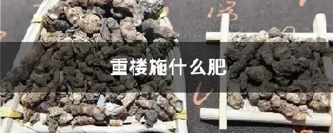 重楼施什么肥