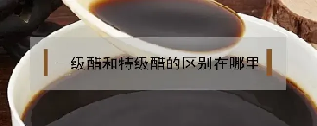 一级醋和特级醋区别在哪里？