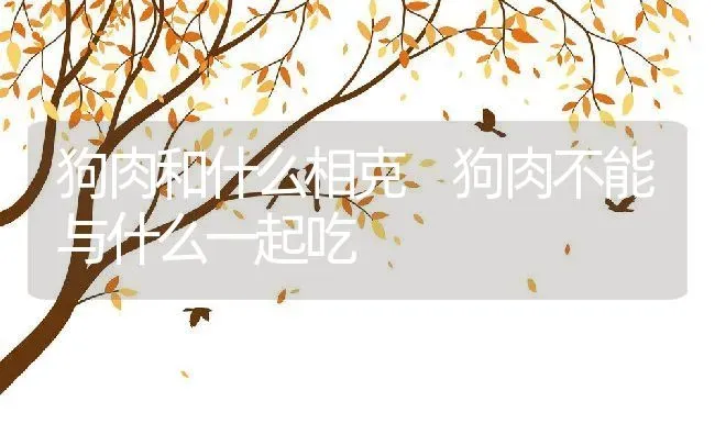 狗肉和什么相克 狗肉不能与什么一起吃 | 养殖资料投稿