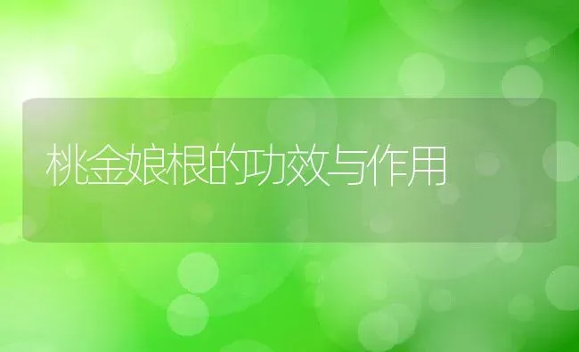 桃金娘根的功效与作用 | 养殖资料投稿