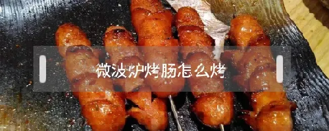 微波炉烤肠怎么烤