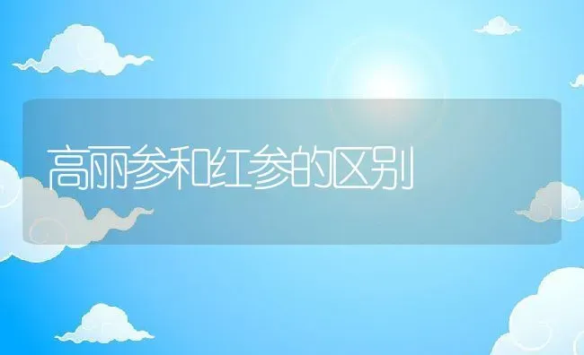 高丽参和红参的区别 | 养殖资料投稿