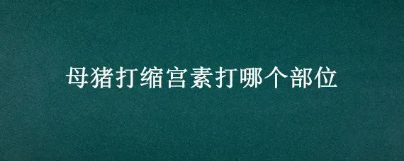 母猪打缩宫素打哪个部位