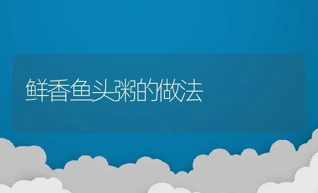 鲜香鱼头粥的做法 | 养殖资料投稿