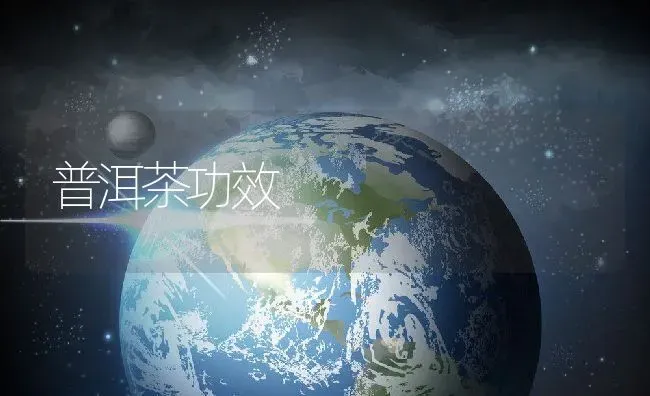 普洱茶功效 | 养殖资料投稿