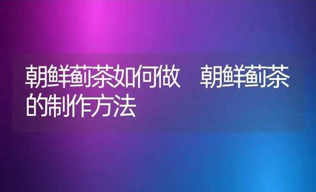 朝鲜蓟茶如何做 朝鲜蓟茶的制作方法 | 养殖资料投稿