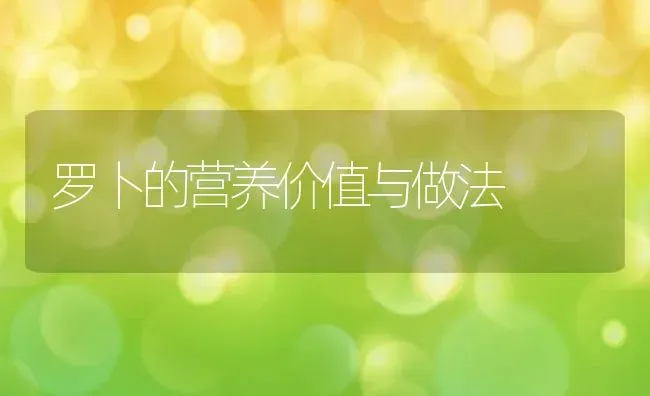 罗卜的营养价值与做法 | 养殖资料投稿