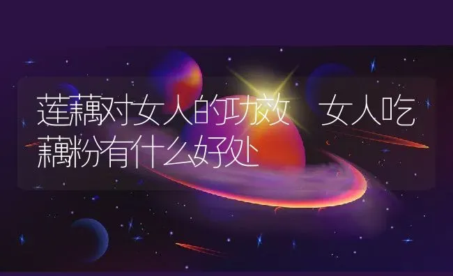 莲藕对女人的功效 女人吃藕粉有什么好处 | 养殖资料投稿