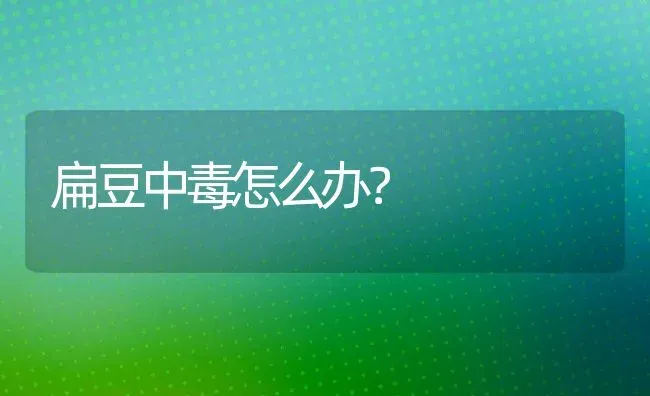 扁豆中毒怎么办？ | 养殖资料投稿