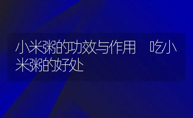 小米粥的功效与作用 吃小米粥的好处 | 养殖资讯