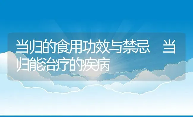 当归的食用功效与禁忌 当归能治疗的疾病 | 养殖资料投稿