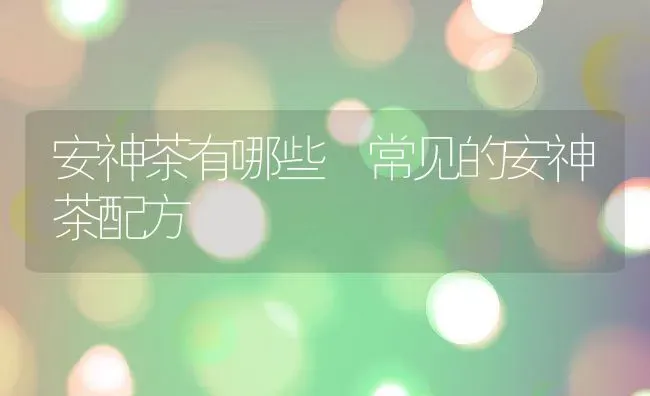 安神茶有哪些 常见的安神茶配方 | 养殖资料投稿