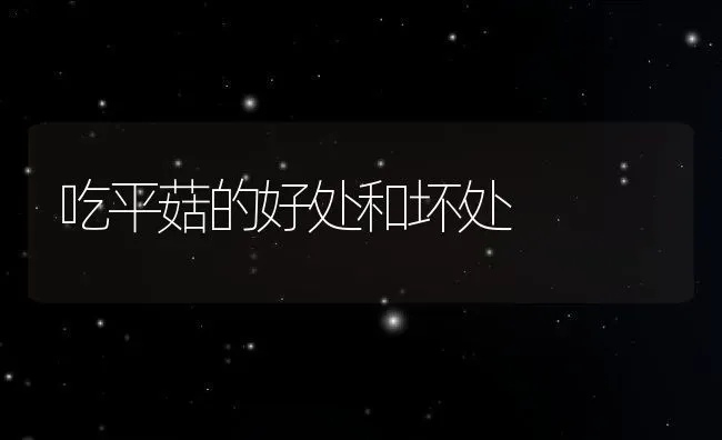 丹皮的功效与作用 | 养殖资料投稿