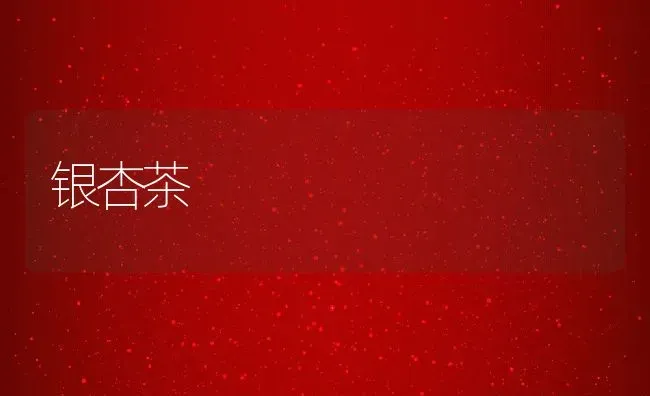 银杏茶 | 养殖资料投稿