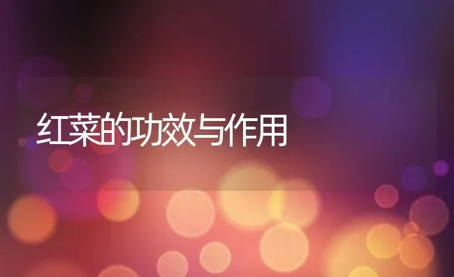 红菜的功效与作用 | 养殖资料投稿