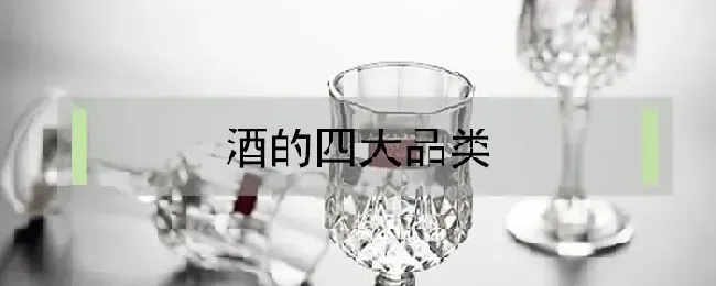 酒的四大品类