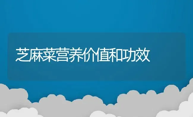 芝麻菜营养价值和功效 | 养殖资料投稿