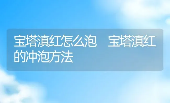 宝塔滇红怎么泡 宝塔滇红的冲泡方法 | 养殖资料投稿