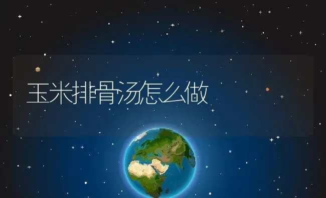 玉米排骨汤怎么做 | 养殖资料投稿