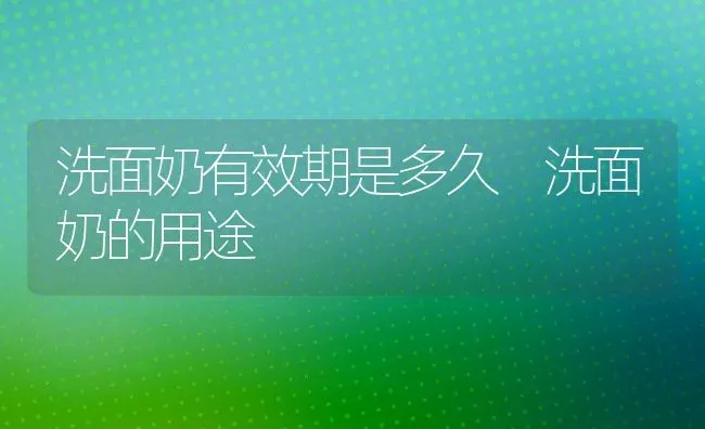 洗面奶有效期是多久 洗面奶的用途 | 养殖资料投稿