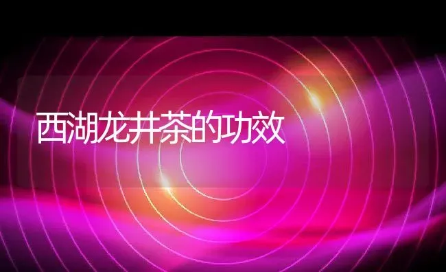 西湖龙井茶的功效 | 养殖资料投稿