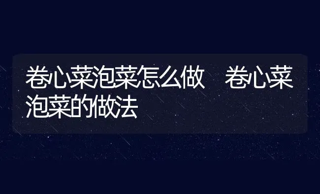卷心菜泡菜怎么做 卷心菜泡菜的做法 | 养殖资料投稿