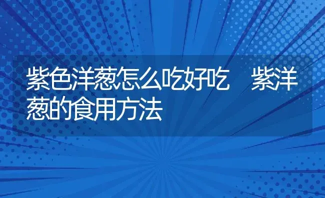 紫色洋葱怎么吃好吃 紫洋葱的食用方法 | 养殖资料投稿