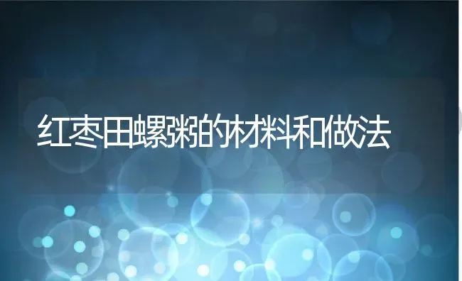 红枣田螺粥的材料和做法 | 养殖资讯