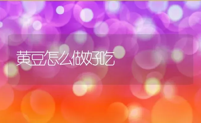 黄豆怎么做好吃 | 养殖资料投稿