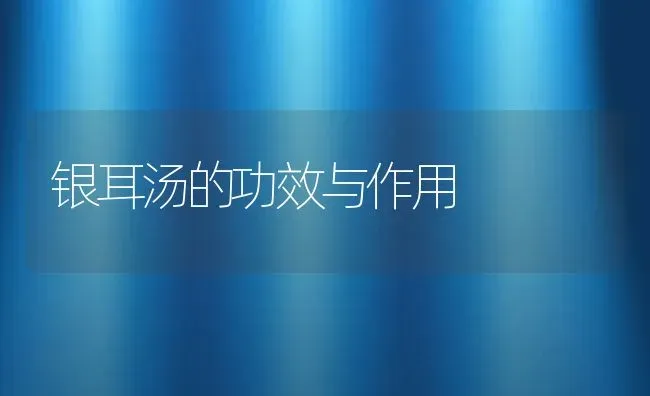 银耳汤的功效与作用 | 养殖资料投稿