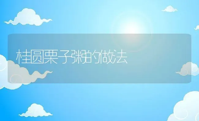 桂圆栗子粥的做法 | 养殖资料投稿