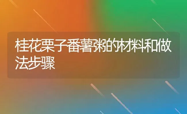 桂花栗子番薯粥的材料和做法步骤 | 养殖资讯