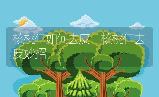 核桃仁如何去皮 核桃仁去皮妙招 | 养殖资料投稿