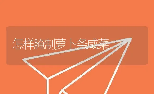 怎样腌制萝卜条咸菜 | 养殖资料投稿