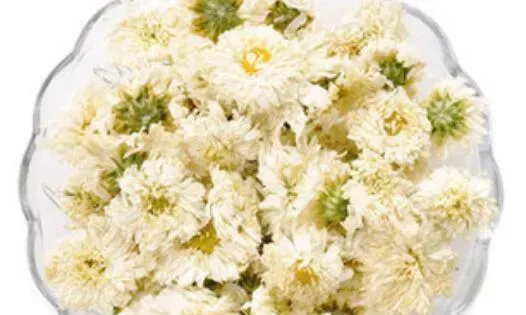 贡菊和胎菊的区别