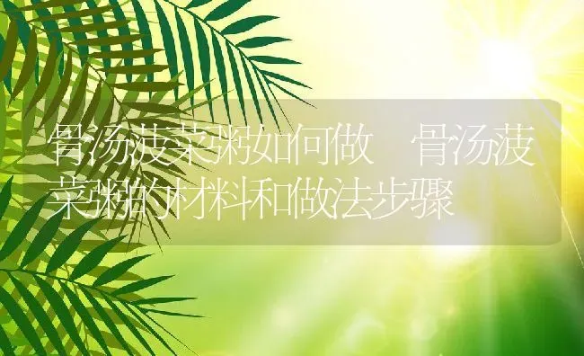 骨汤菠菜粥如何做 骨汤菠菜粥的材料和做法步骤 | 养殖资讯