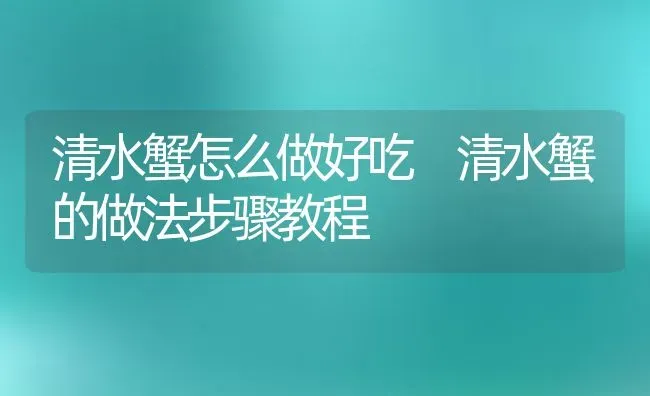 清水蟹怎么做好吃 清水蟹的做法步骤教程 | 养殖资料投稿