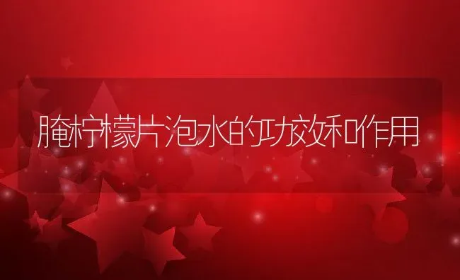 腌柠檬片泡水的功效和作用 | 养殖资料投稿