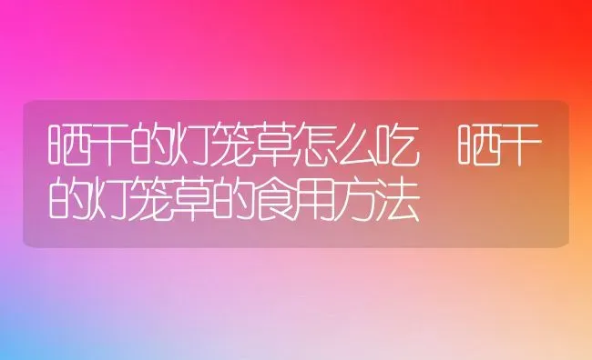 晒干的灯笼草怎么吃 晒干的灯笼草的食用方法 | 养殖资料投稿