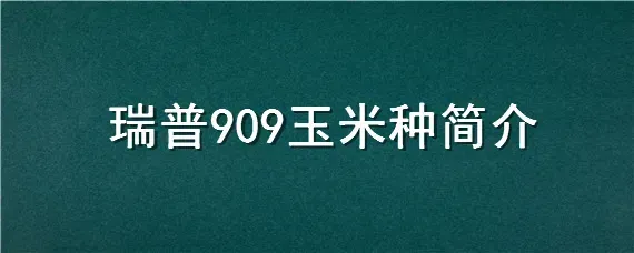 瑞普909玉米种简介