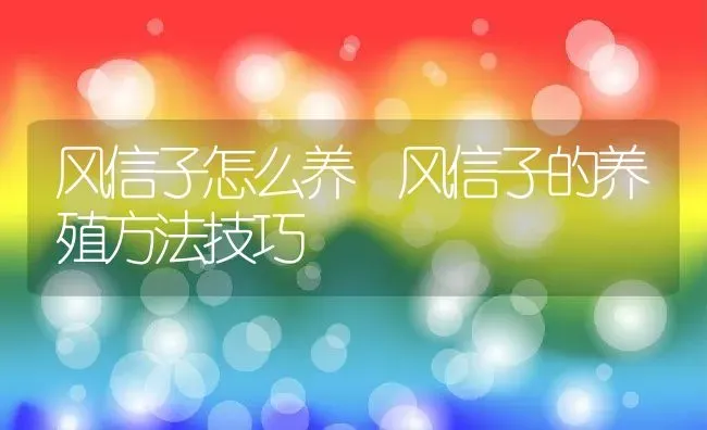 风信子怎么养 风信子的养殖方法技巧 | 养殖资料投稿