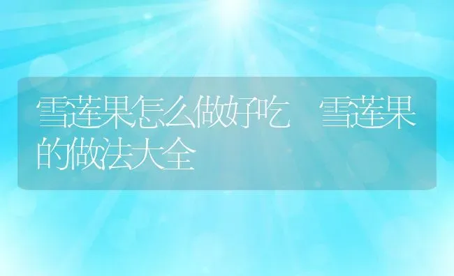 雪莲果怎么做好吃 雪莲果的做法大全 | 养殖资料投稿