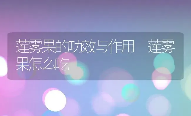 莲雾果的功效与作用 莲雾果怎么吃 | 养殖资料投稿