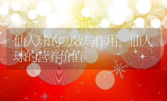 仙人球的功效与作用 仙人球的营养价值 | 养殖资料投稿