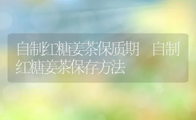 自制红糖姜茶保质期 自制红糖姜茶保存方法 | 养殖资料投稿